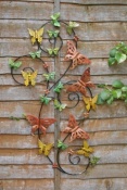 Butterfly Flight